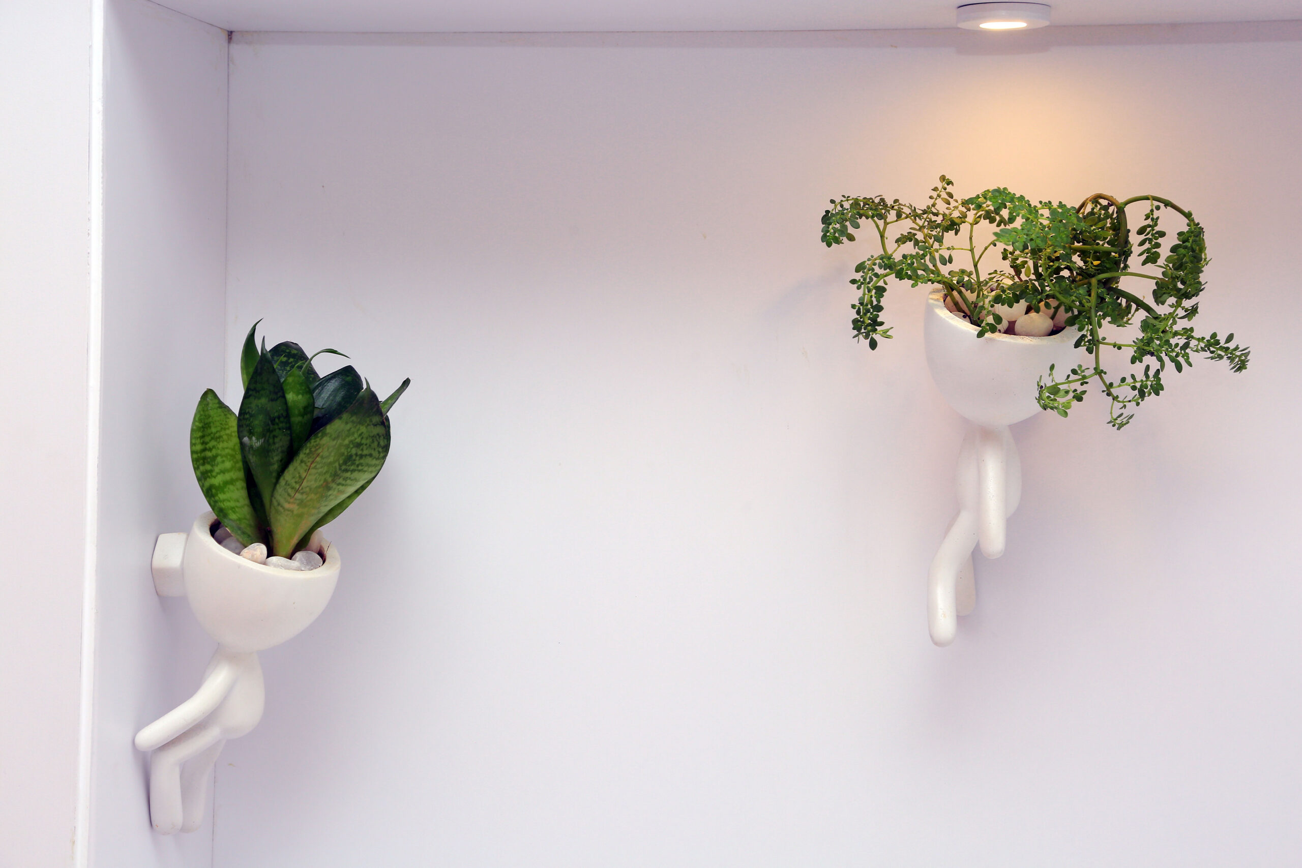 Best dermatologist in visakhapatnam